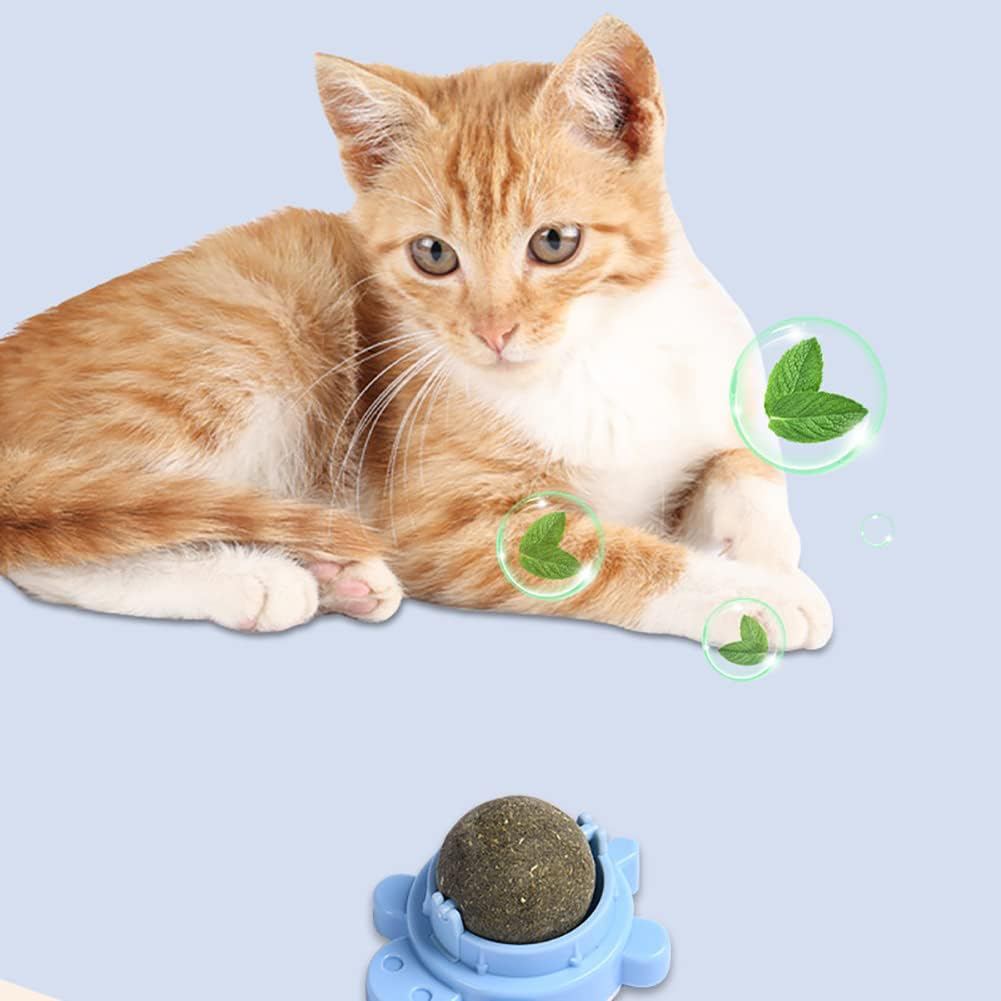 JUEGO PARA GATOS HIERBAS NATURALES JUEGO PARA GATOS HIERBAS NATURALES